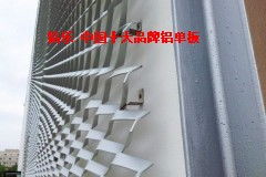鋁樂建材 專業崗巴裝飾拉網鋁單板廠家直銷，打造卓越建筑裝飾